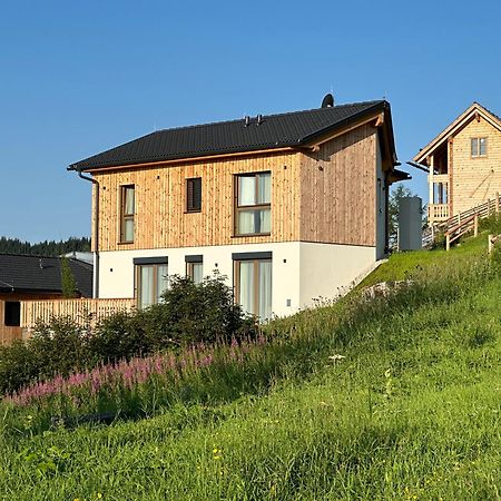 Berglisl - Direkt An Der Schipiste! Neue Ferienwohnung Mit Sauna Klippitztorl Buitenkant foto