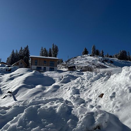 Berglisl - Direkt An Der Schipiste! Neue Ferienwohnung Mit Sauna Klippitztorl Buitenkant foto